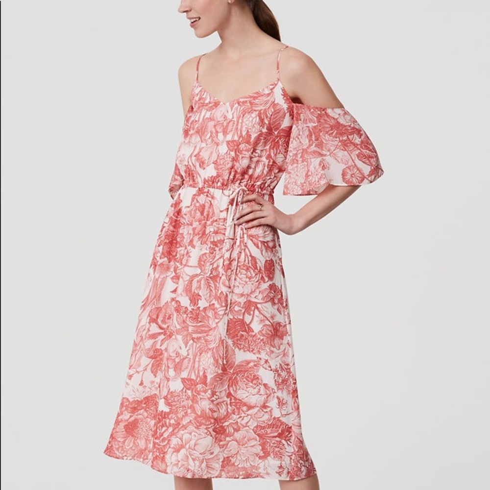 Ann Taylor Loft Dress